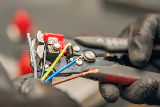 Best Electrical System Inspection  in Mount Morris, MI
