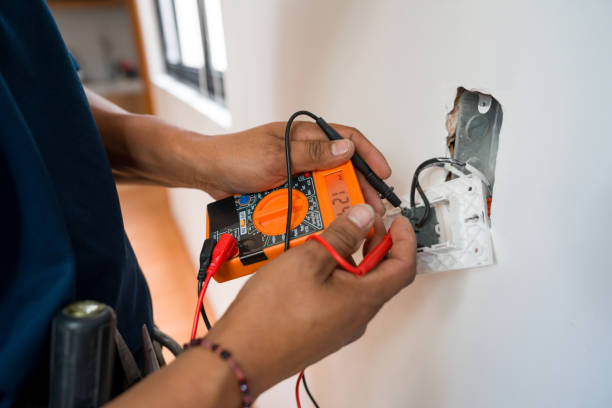Best Ceiling Fan Installation Electrician  in Mount Morris, MI