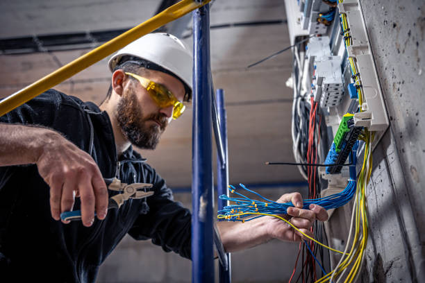 Best Emergency Electrician Near Me  in Mount Morris, MI