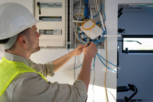 Best Affordable Emergency Electrician  in Mount Morris, MI